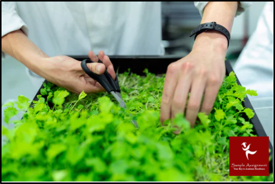Agrarian Engineering Assignment Help 