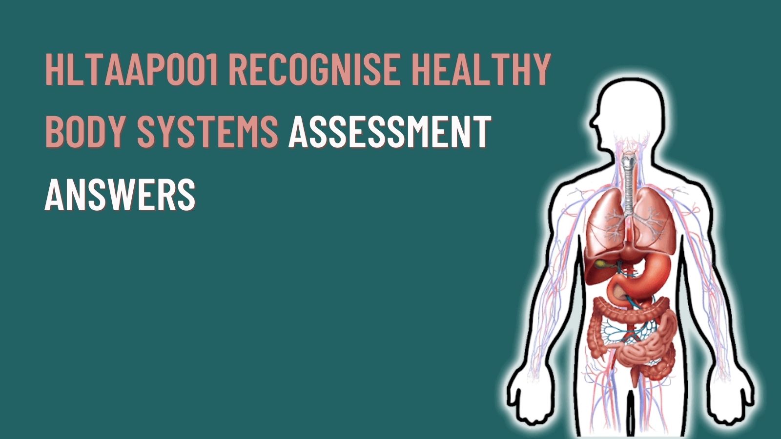 HLTAAP001 Assessment Answer