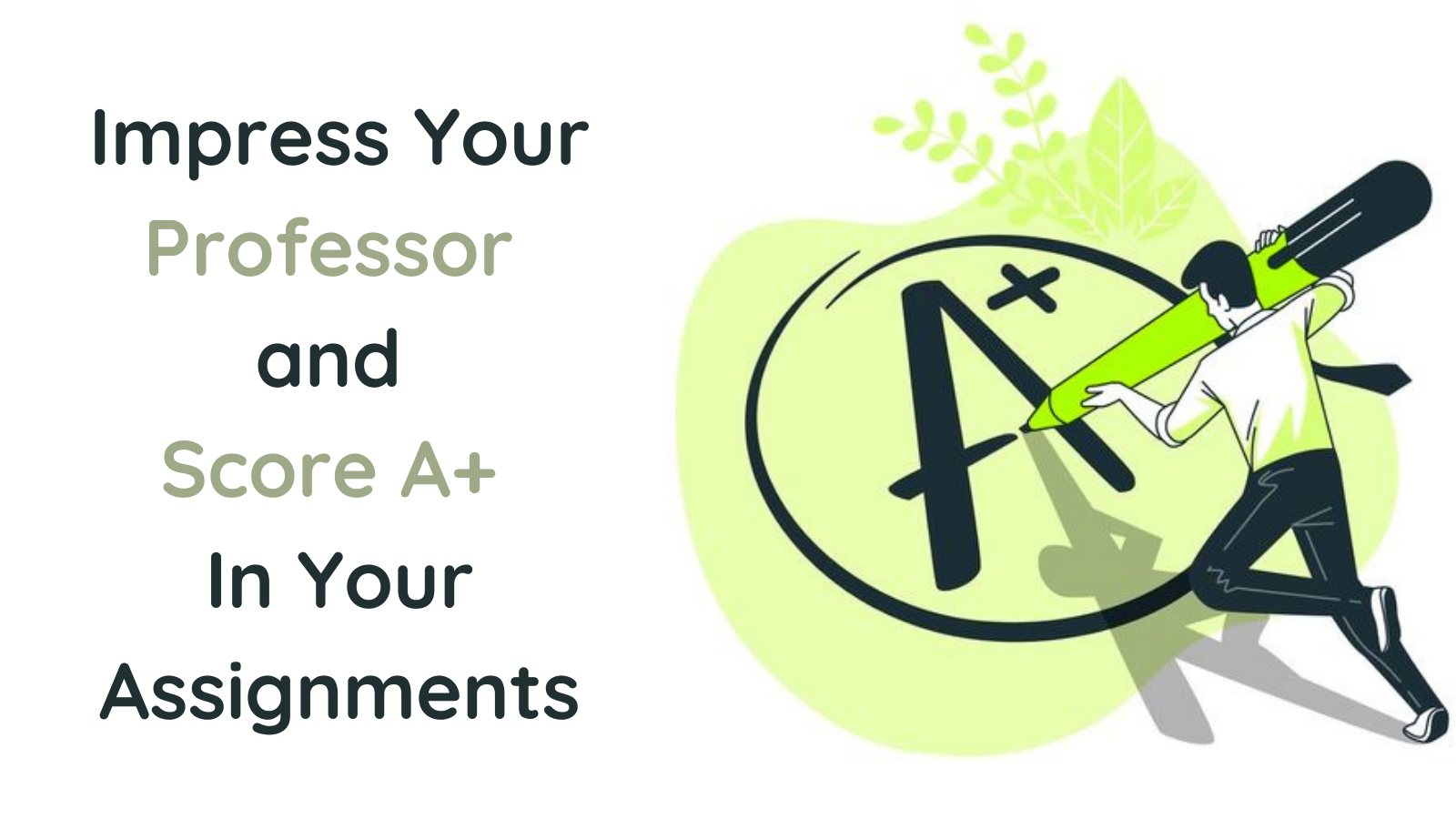 Score A+ In Assignments
