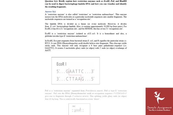 molecular medicine assignment answer