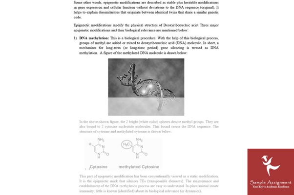 molecular medicine assignment writers