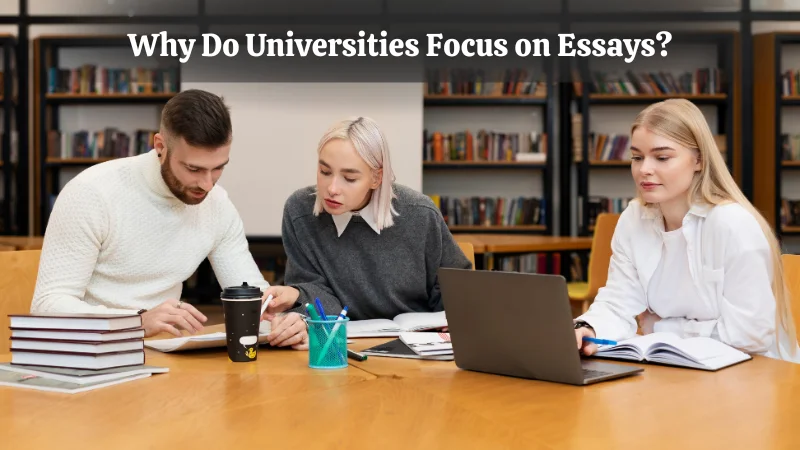 Why Do Universities Focus on Essays