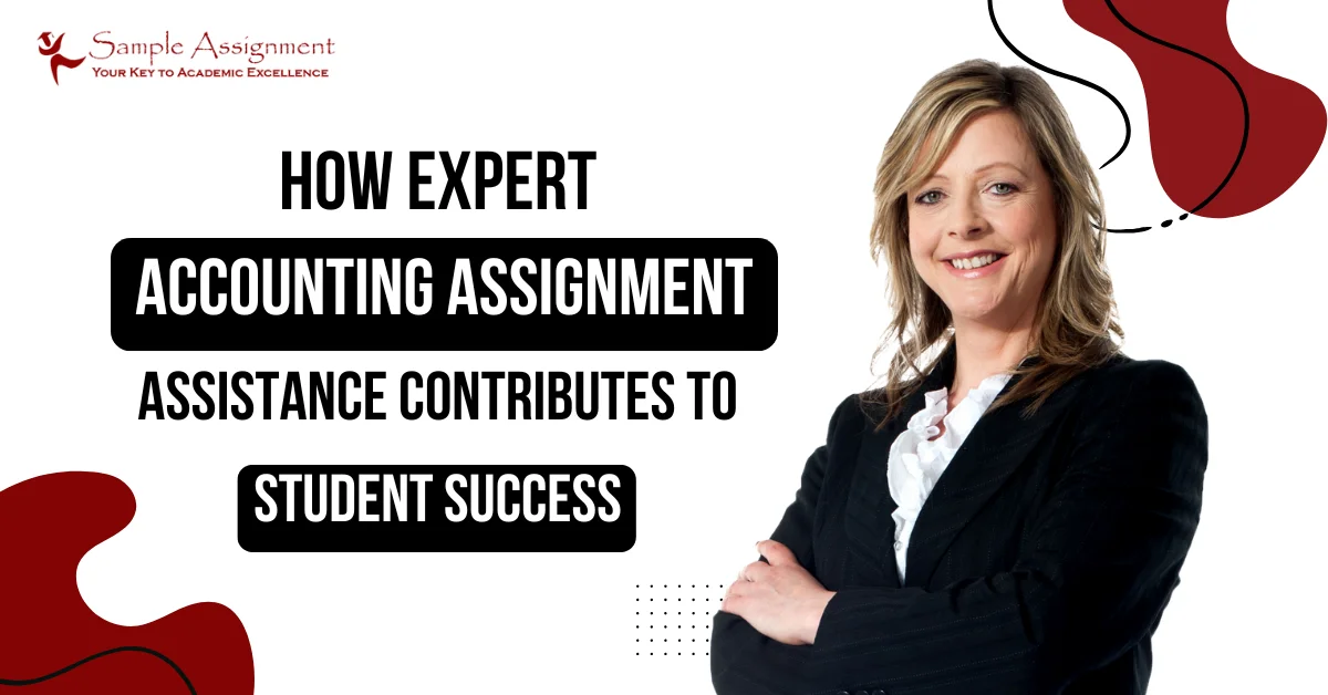 How Expert Accounting Assignment Assistance Contributes to Student Success